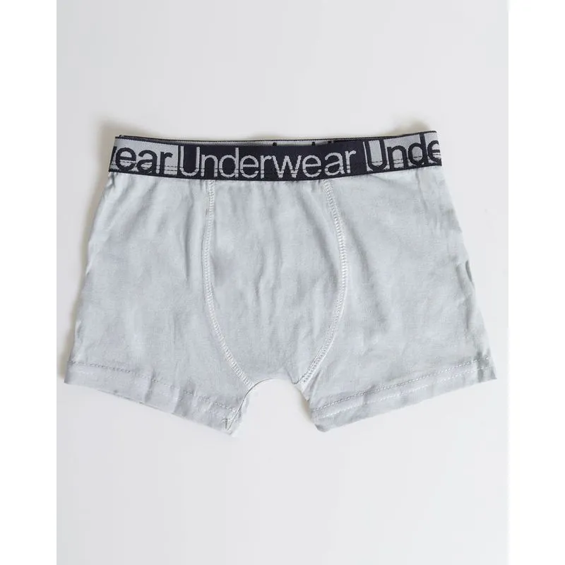 Cueca Boxer Infantil Com Elástico Cinza 410001300654