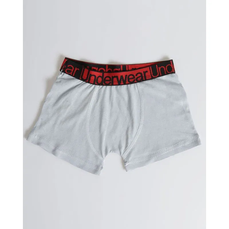 Cueca Boxer Infantil Com Elástico Geométrico Cinza 6