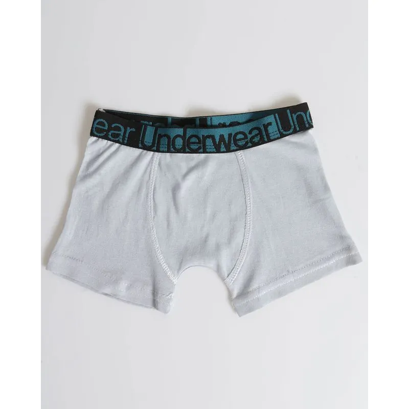 Cueca Boxer Infantil Com Elástico Xadrez Cinza 410001300638