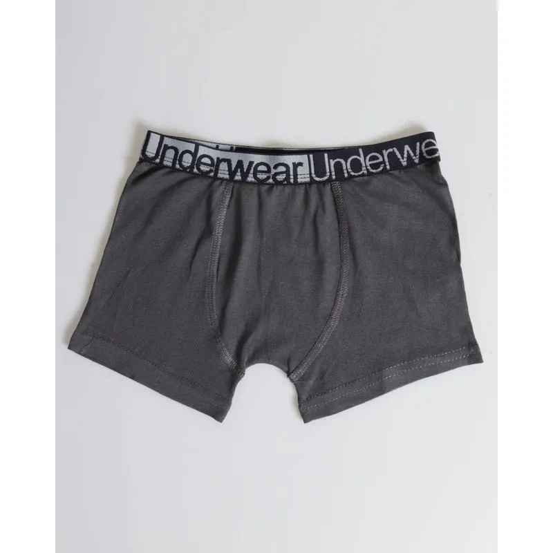 Cueca Boxer Infantil Com Elástico Cinza Médio 8