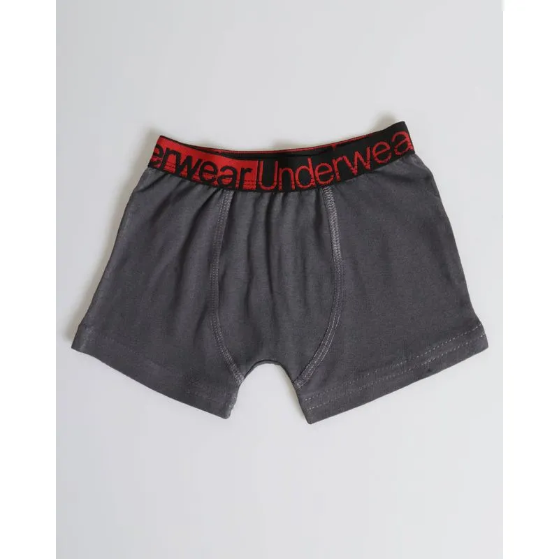 Cueca Boxer Infantil Com Elástico Vermelho Cinza 6