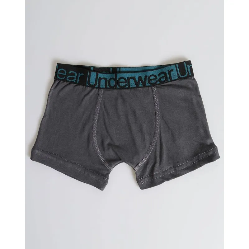 Cueca Boxer Infantil Com Elástico Listrado Cinza 4