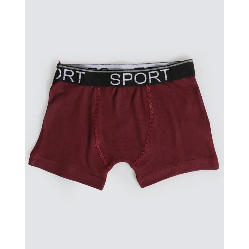 Cueca Boxer Infantil Com Elástico Xadrez Vinho 4