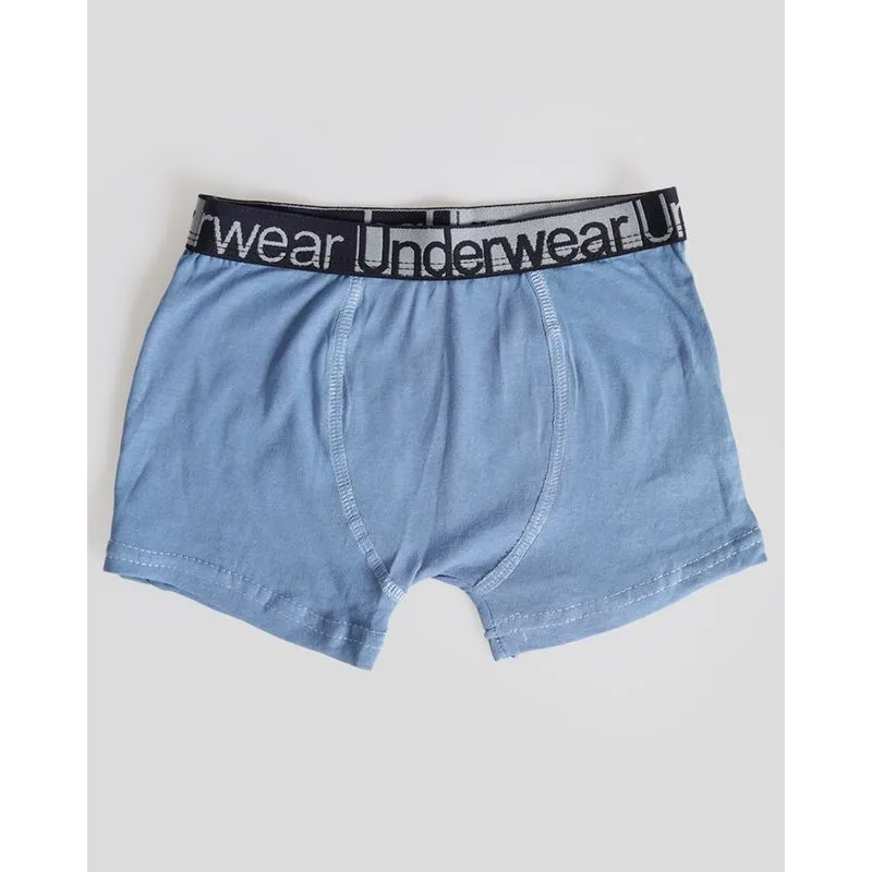 Cueca Boxer Infantil Com Elástico Cinza Azul 410001300234