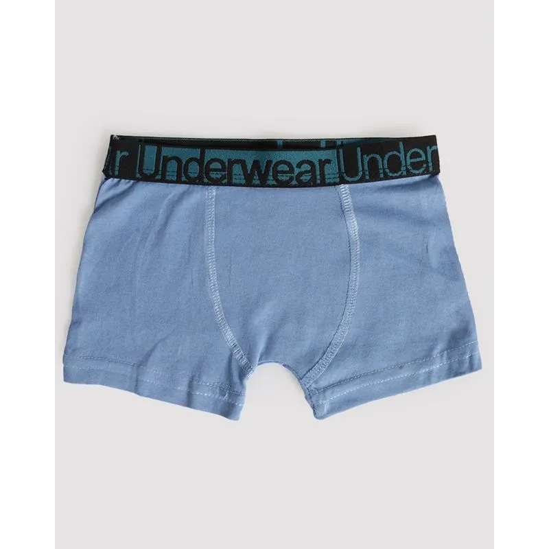 Cueca Boxer Infantil Com Elástico Azul Médio 410001300218