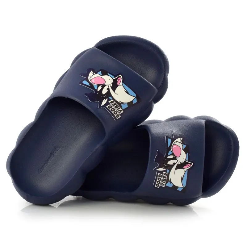 Chinelo Slide Infantil Warner Azul 22849 30