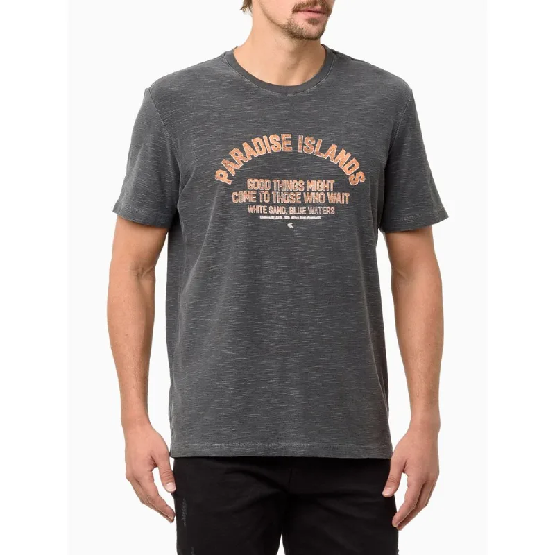 Camiseta Masculina Paradise Islands - Chumbo Camiseta Masculina Paradise Islands Chumbo g