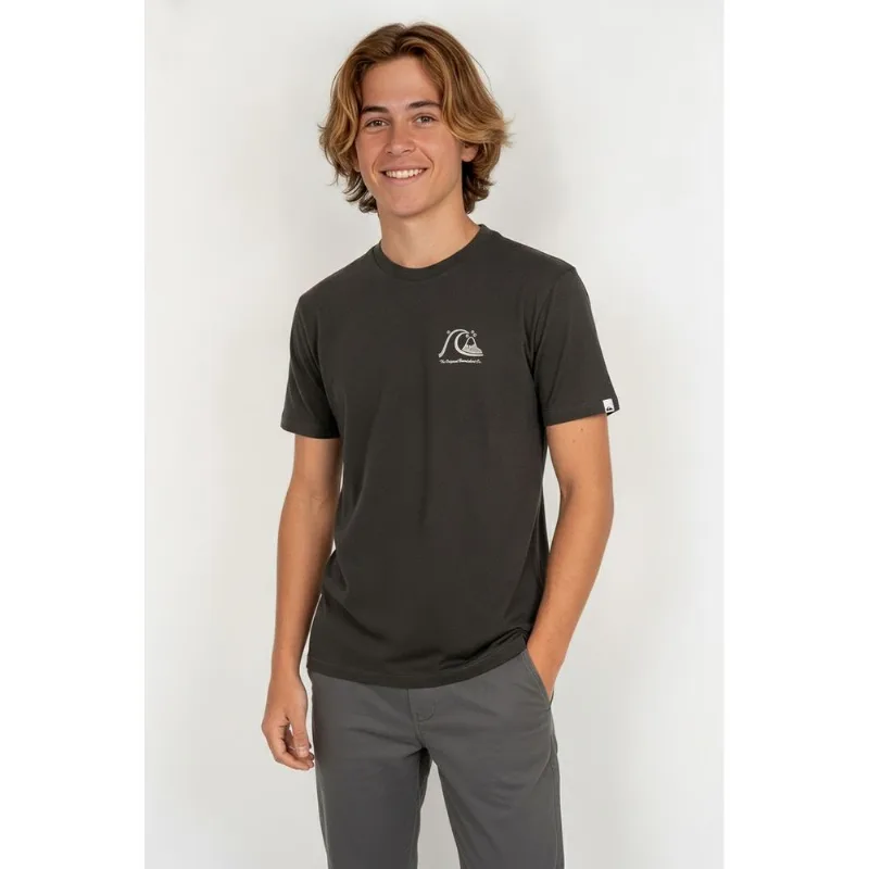 Camiseta Quiksilver M/c The Original Tn Cinza Escuro 14