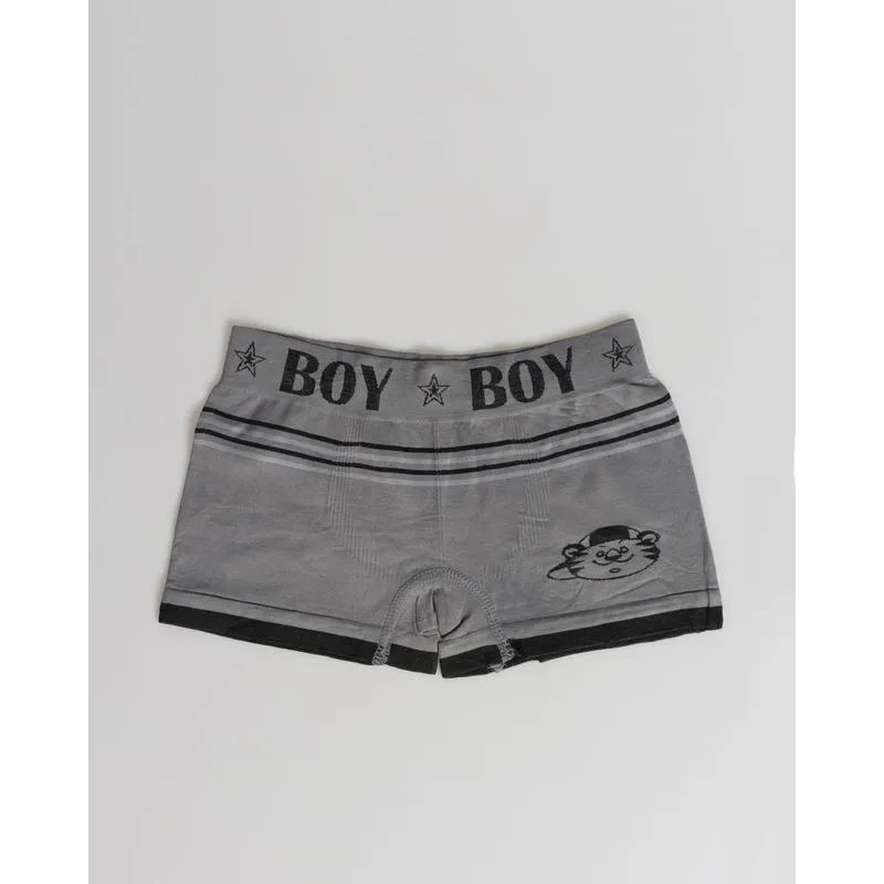 Cueca Boxer Infantil Estampada Cinza G