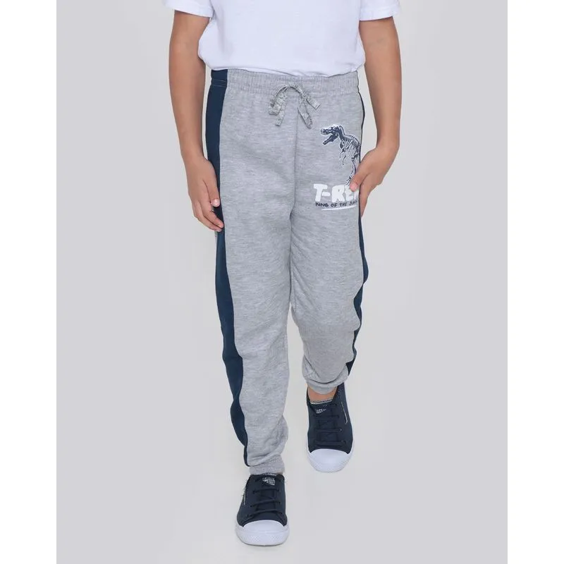 Calça Moletom Infantil Jogger Estampa Dinossauro Cinza 8