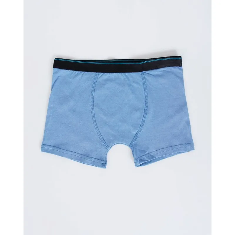 Cueca Boxer Juvenil Algodão Cós Elástico Azul Médio 14