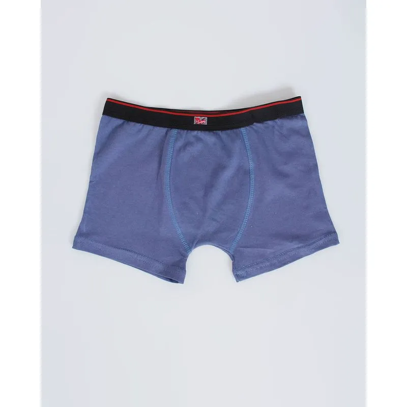 Cueca Boxer Juvenil Algodão Cós Elástico Azul 12