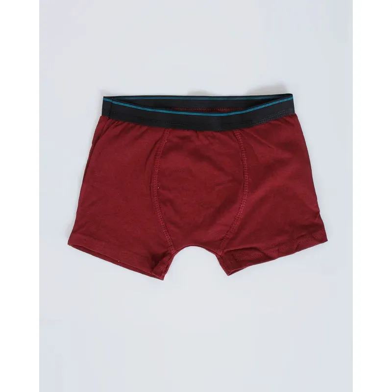 Cueca Boxer Juvenil Algodão Cós Listrado Vinho 16