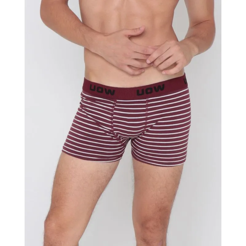 Cueca Boxer Algodão Listrada Vinho 24111000133188UN