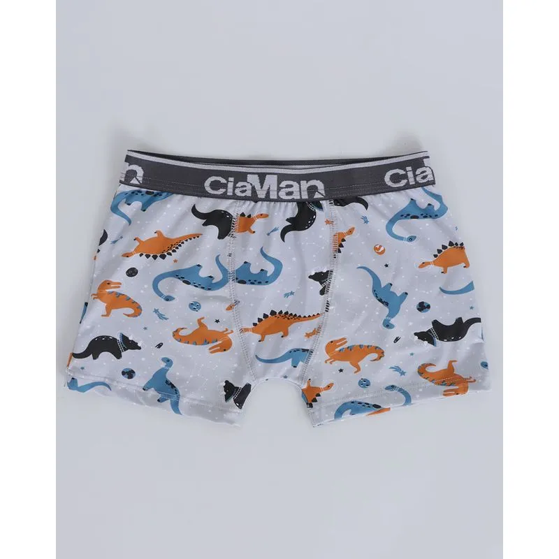 Cueca Infantil Boxer Dinossauro Cinza 10