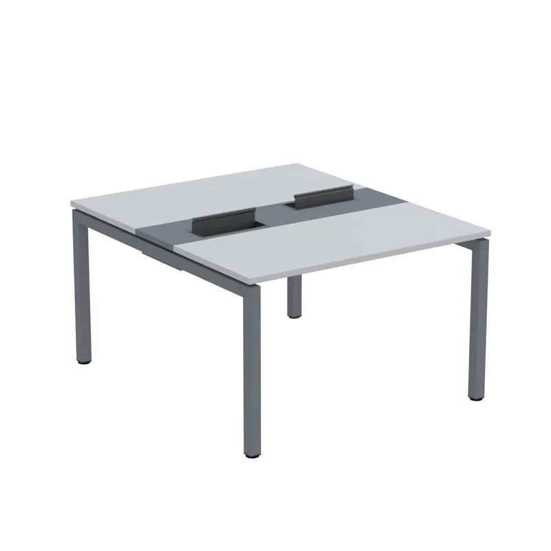 Mesa Plataforma Dupla Com Pé De Aço Para Coworking 110x140/2p Pdc11/14/2p Cinza/grafito