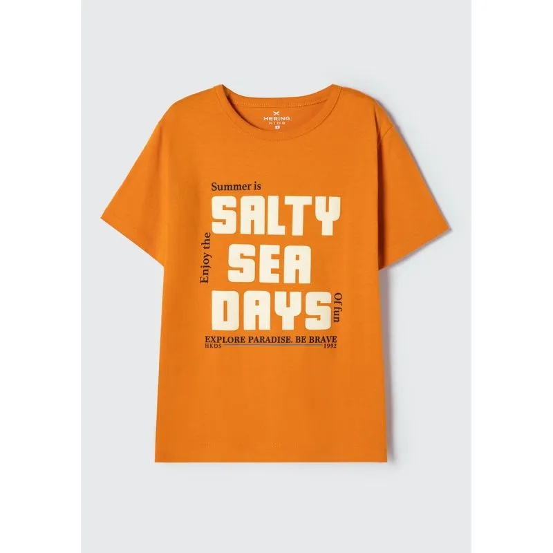 Camiseta Infantil Menino Manga Curta Com Estampa - Laranja 016