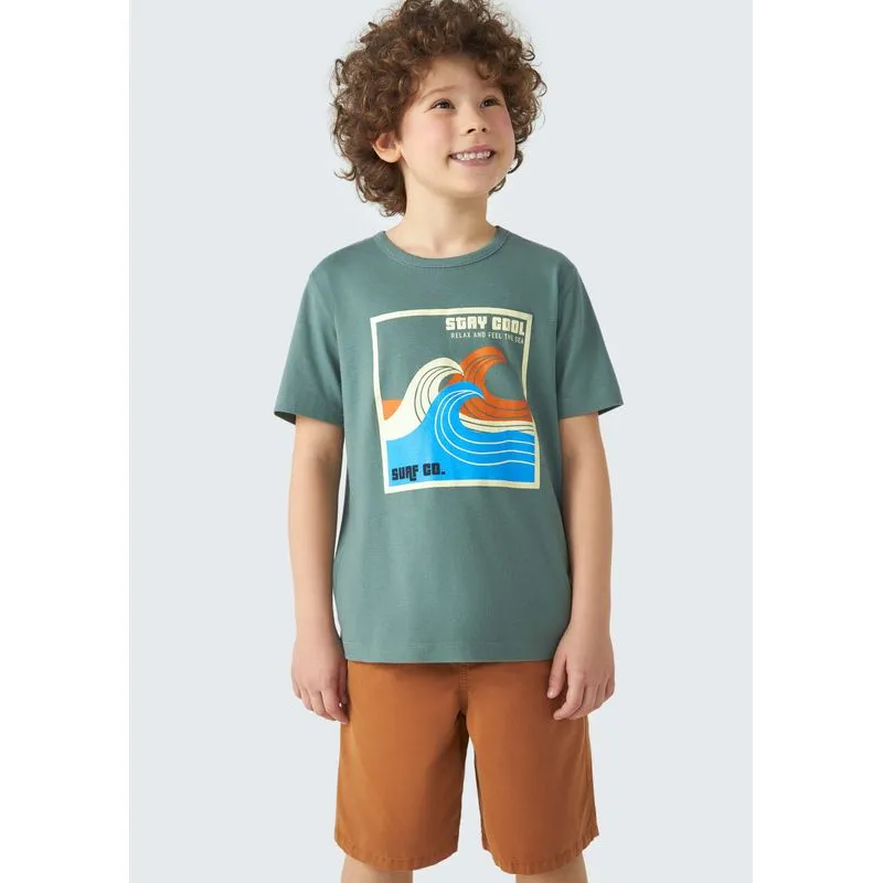 Camiseta Infantil Menino Manga Curta Com Estampa - Verde 006