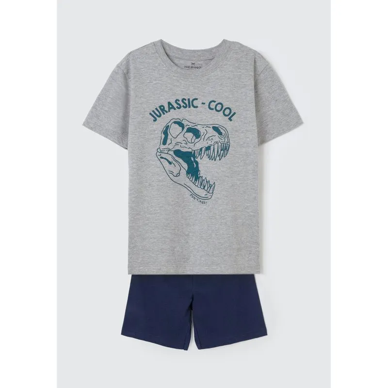 Pijama Infantil Menino Curto Com Estampa - Cinza 012