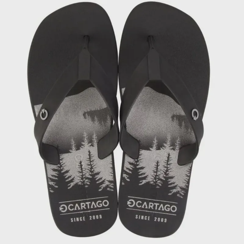 Chinelo Cartago Atlanta Dedo Ad 11840 Masculino - IPANEMA