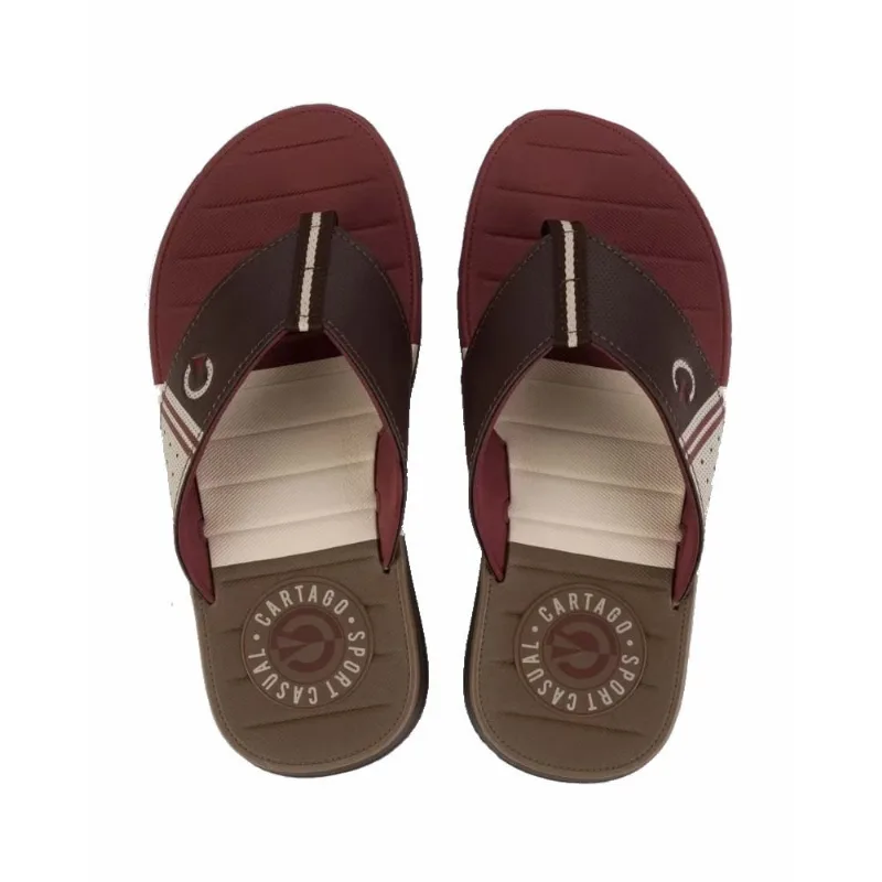 Chinelo de Dedo Masculino Cartago Sevilha iv - Grendene