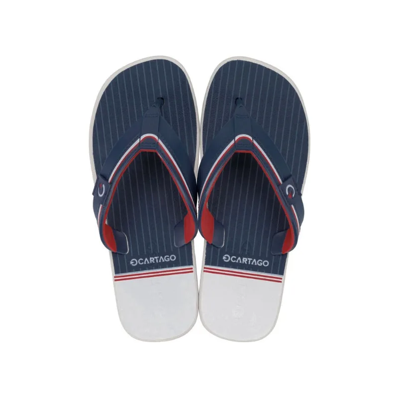 Chinelo Cartago Detroit Ii 12299 39/44 - IPANEMA
