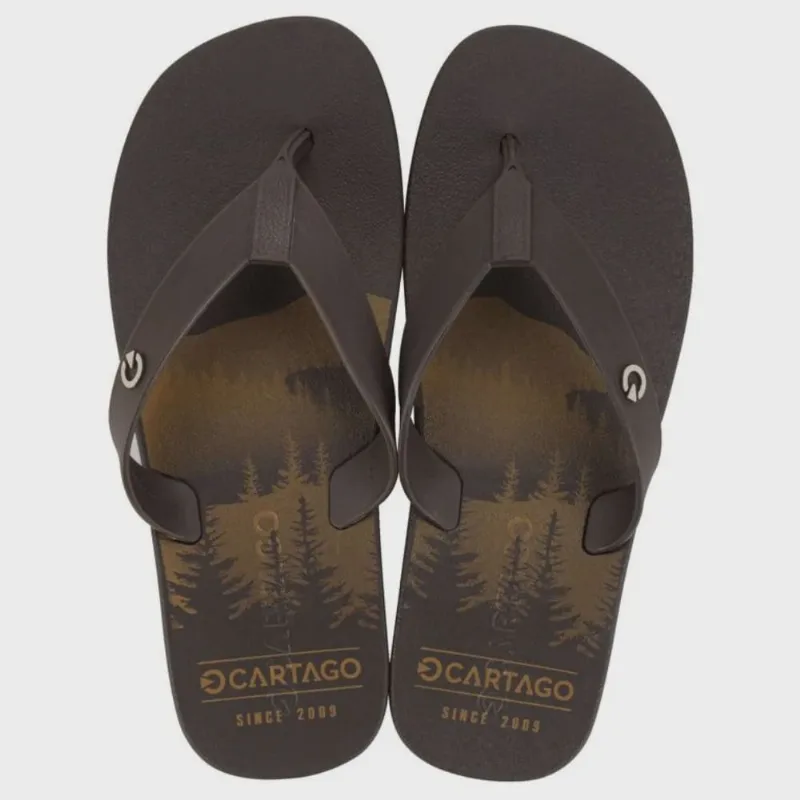 Chinelo Cartago Atlanta Dedo Ad 11840 Masculino