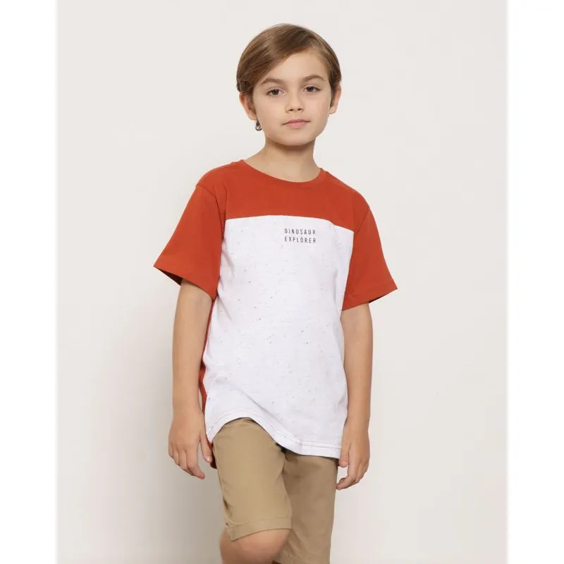 Camiseta Infantil Manga Curta Marrom 10