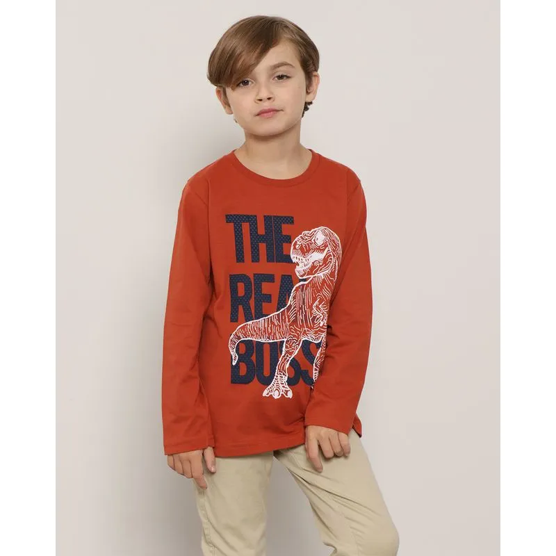 Camiseta Infantil Manga Longa Estampa Dinossauro Marrom 6