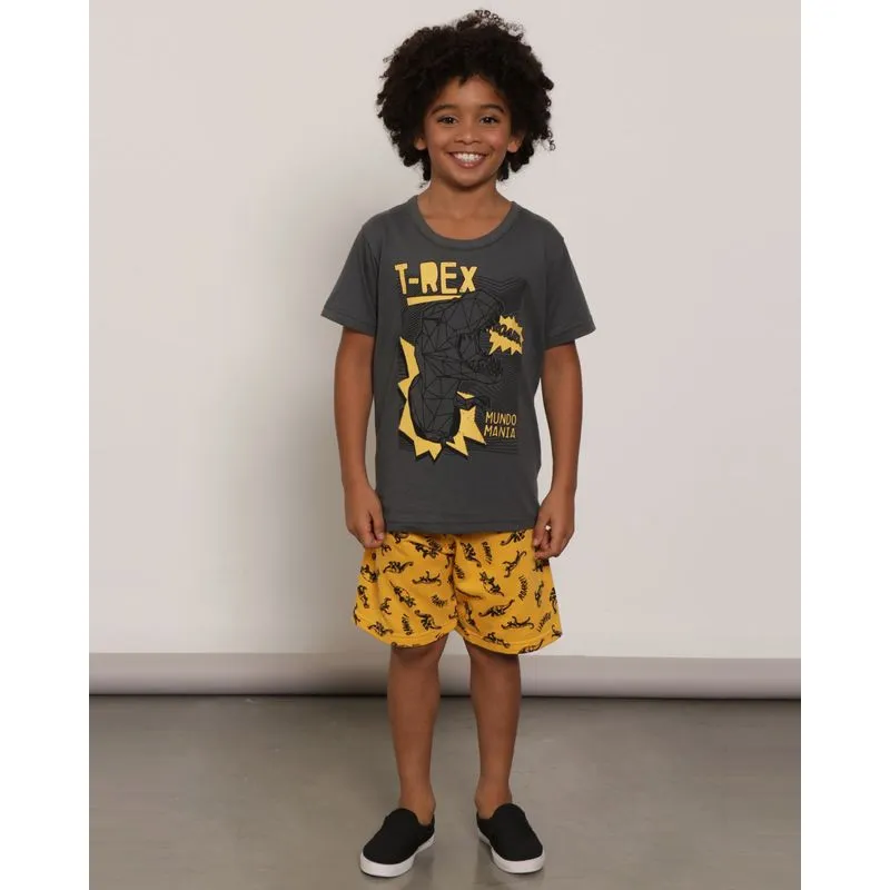 Conjunto Infantil Moletinho Estampa Dinossauro Cinza 6