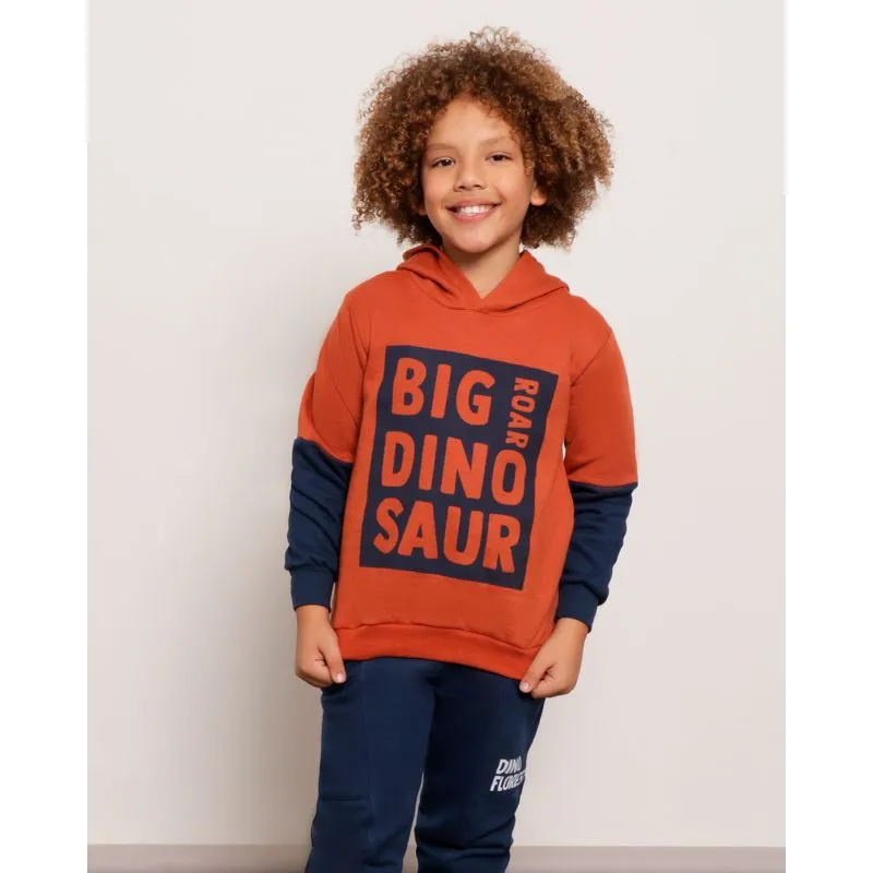 Blusão Moletom Infantil Estampa Big Dinossaur Marrom 4