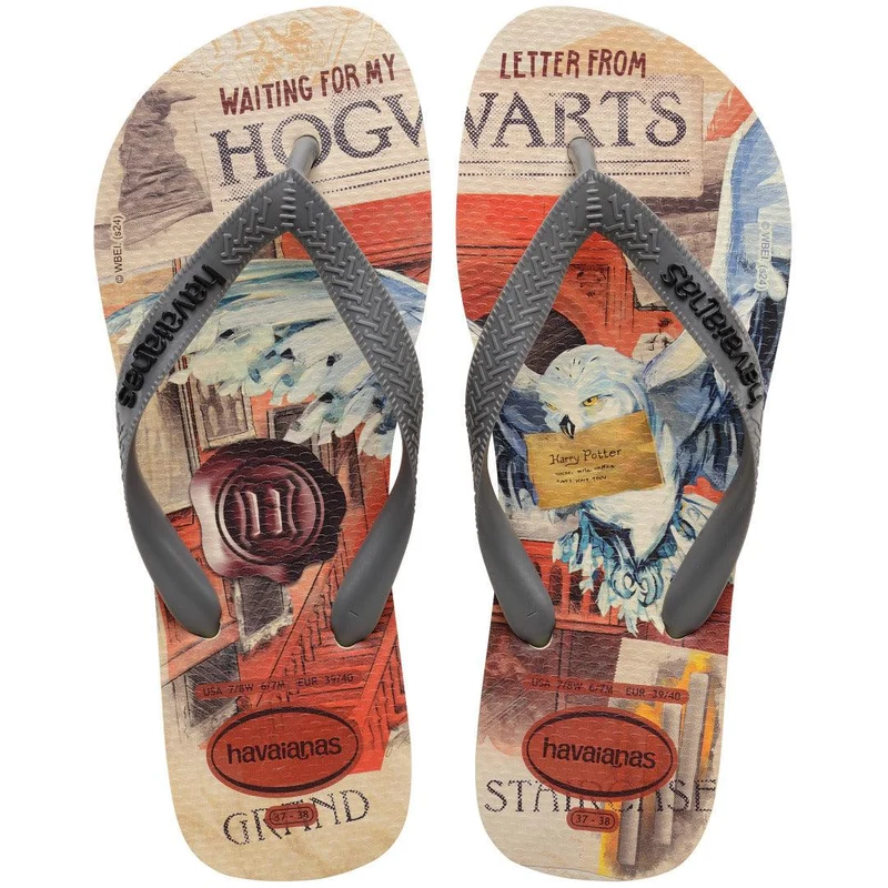 Chinelo Havaianas Top Clássicos Warner Harry Potter Cinza / 41/42