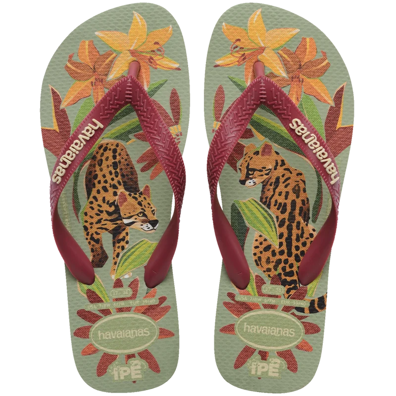 Chinelo Havaianas Ipê Cinza Esverdeado / 33/34