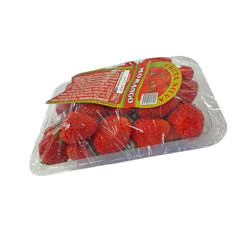 FRUTAS SILVA bandeja 250g