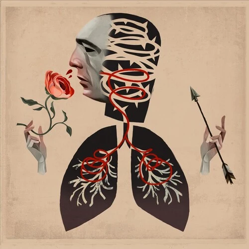 Hot Water Music - Vows New / CD / Vows Equal Vision Records