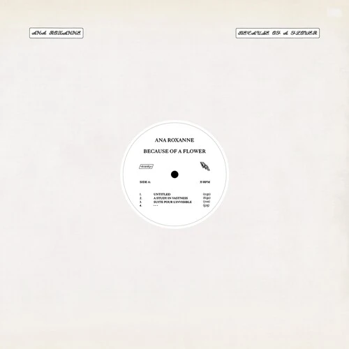 Ana Roxanne - Because Of A Flower New / Vinyl / Because Of A Flower Kranky