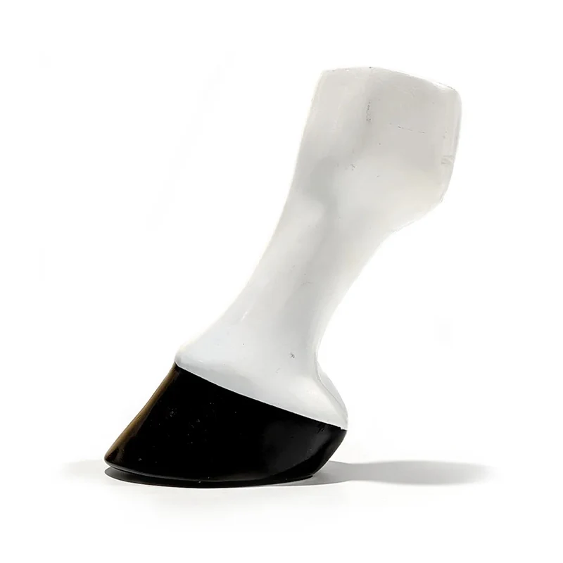 Scoot Boot Horse Leg & Hoof Model 15.5cm x 32cm x 15cm