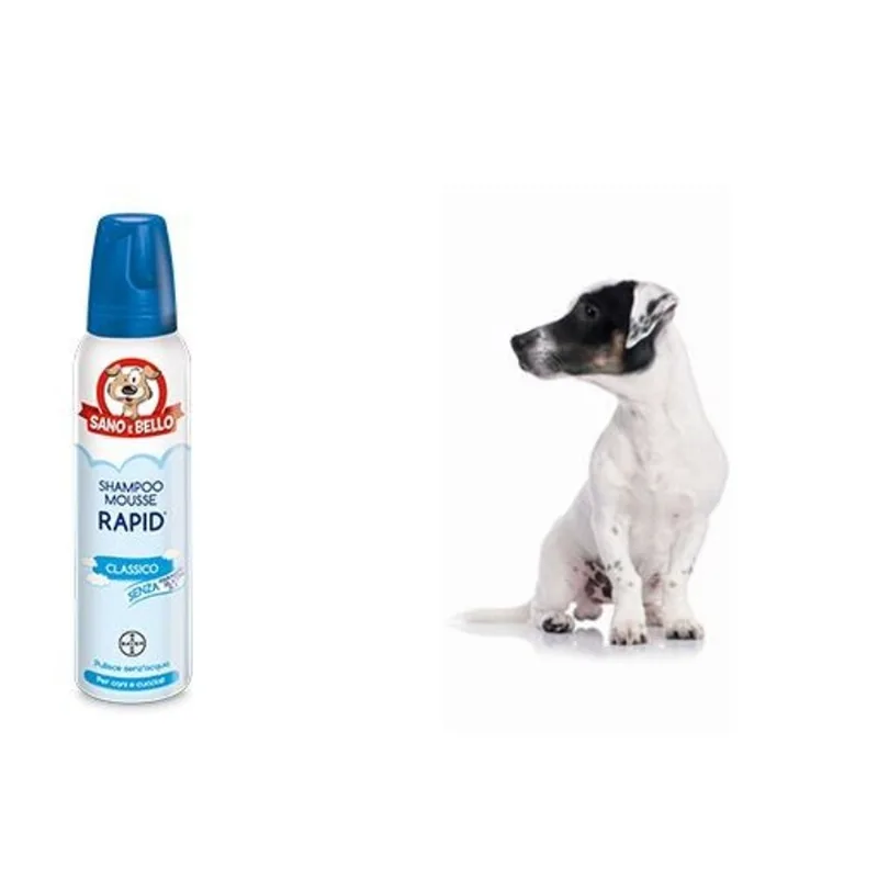 Bayer Shampoo Mousse Rapid classico 300 ml sano & bello