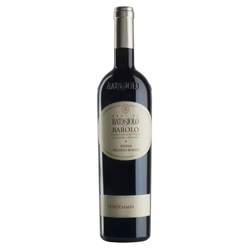 Vinho Tinto Basiolo Barolo Bussia Vigneto Bofani Docg 750ml