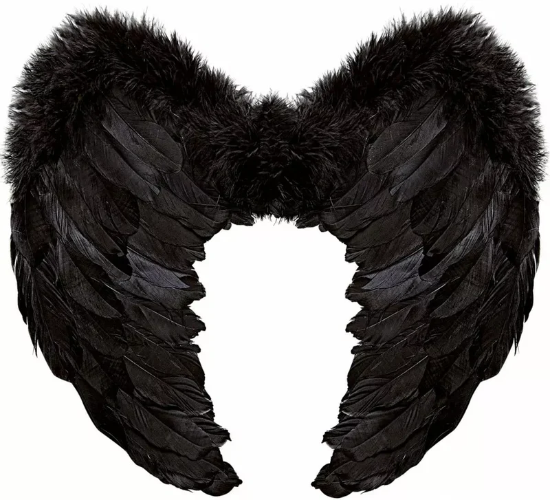 Alas de Plumas Negras de 50x40 cm T.Única