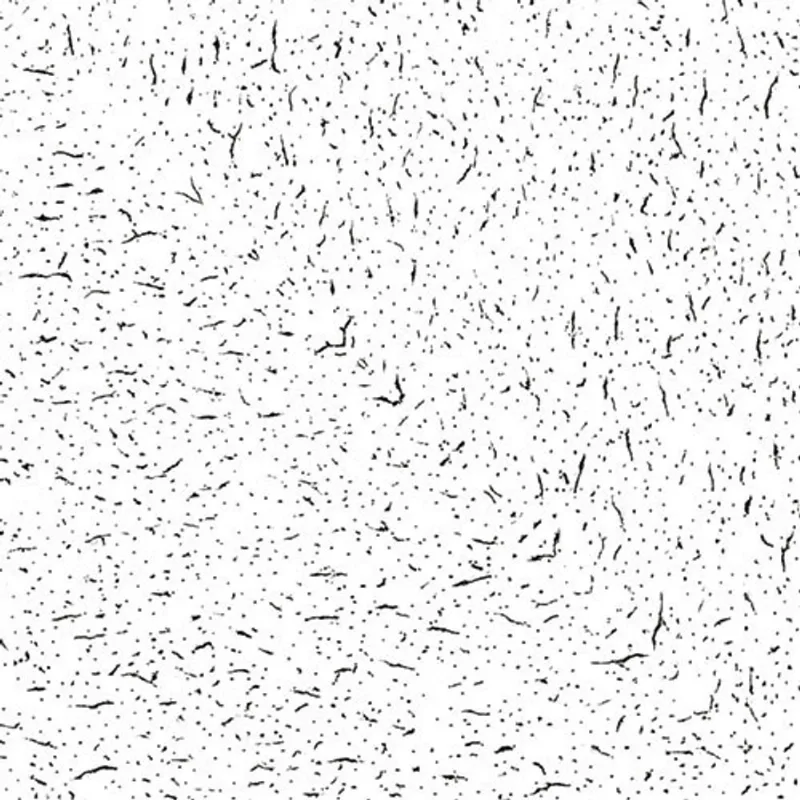 CertainTeed Rio 2-ft x 4-ft x 5/8-in Ceiling Tile Panels - 8-Pack