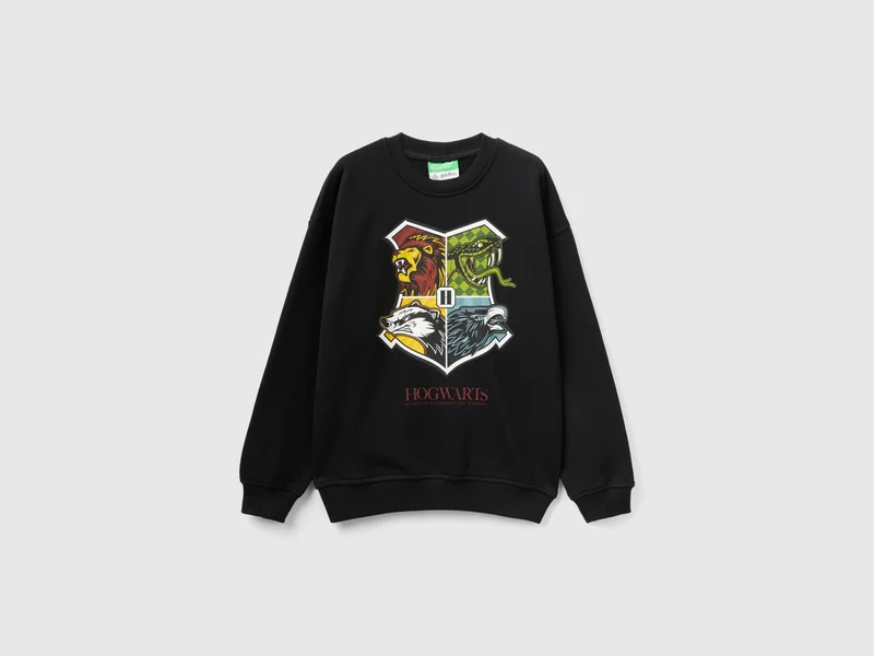 Felpa Harry Potter over fit EL