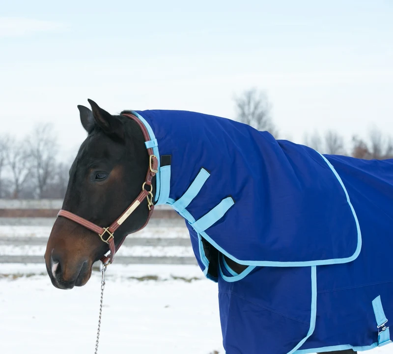 HUG 1200D Prize Neck Cover, 200g Navy / Large