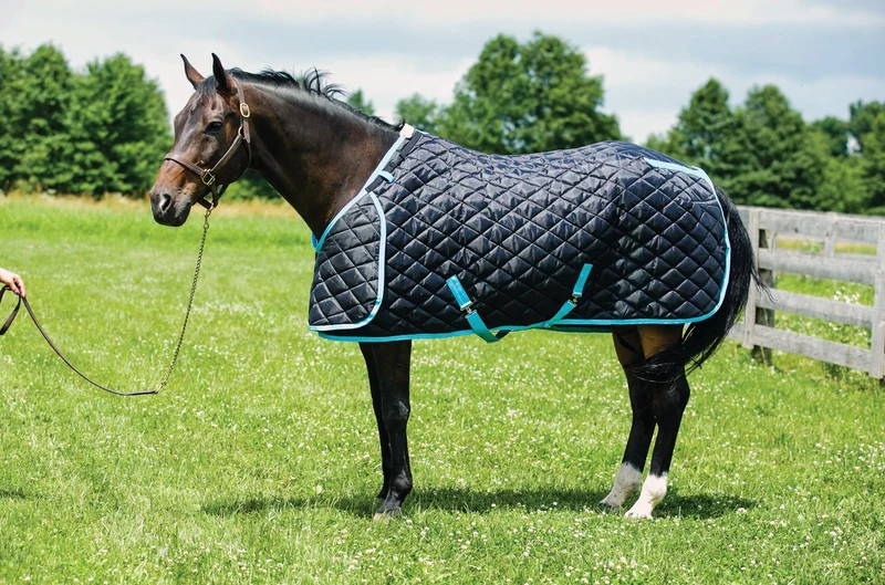 HUG Prize Stable Blanket Black LightBlue / 86