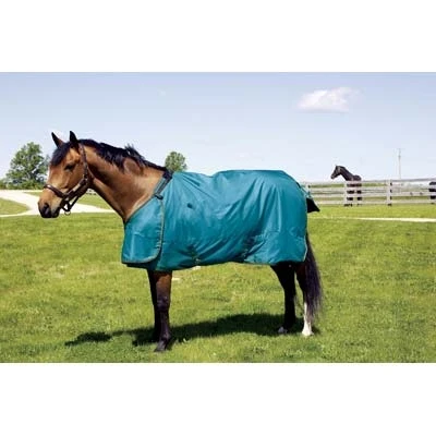 Hug Abrazo Turnout Blanket Teal Orange / 78