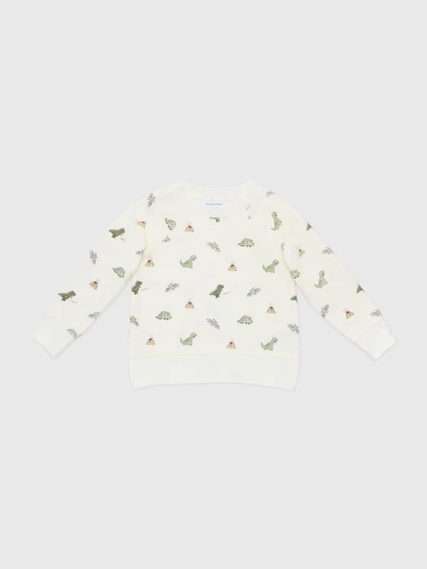 Angel Dear Baby Boys' Dinos Raglan Sweatshirt 2T / OFF WHITE