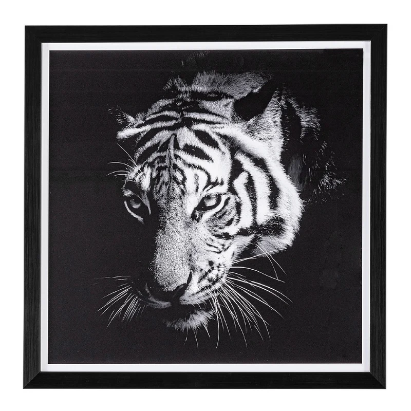 Quadro evidence 43 x 43 , struttura in mdf, stampa su carta, con vetro