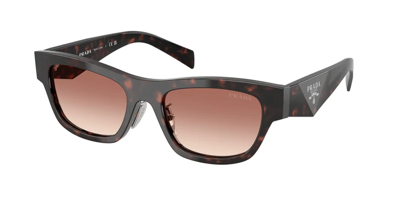 Prada 0PR B09SF 53mm / 17N50L - Root Tortoise / Light Brown Gradient Bordeaux