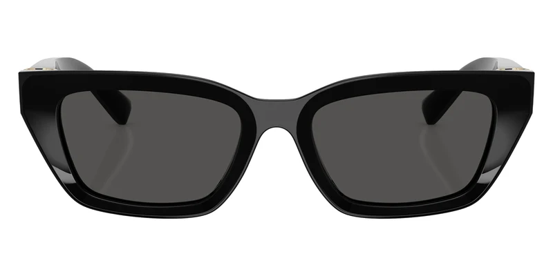 DOLCE&GABBANA - DG4532 Black / Dark Gray 501/87 / 53-18-140