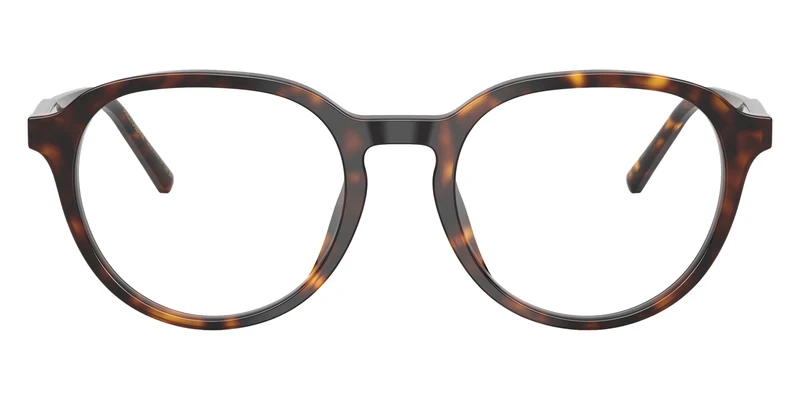 DOLCE&GABBANA - DG3444 Havana 502 / 50-19-145